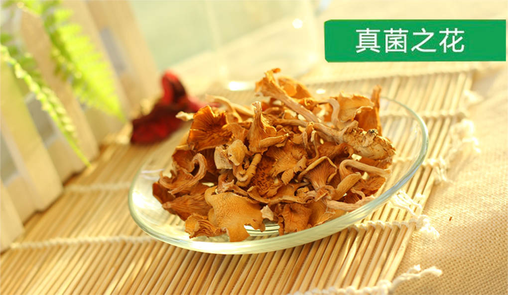 食用菌