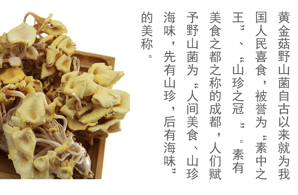 礼品装食用菌