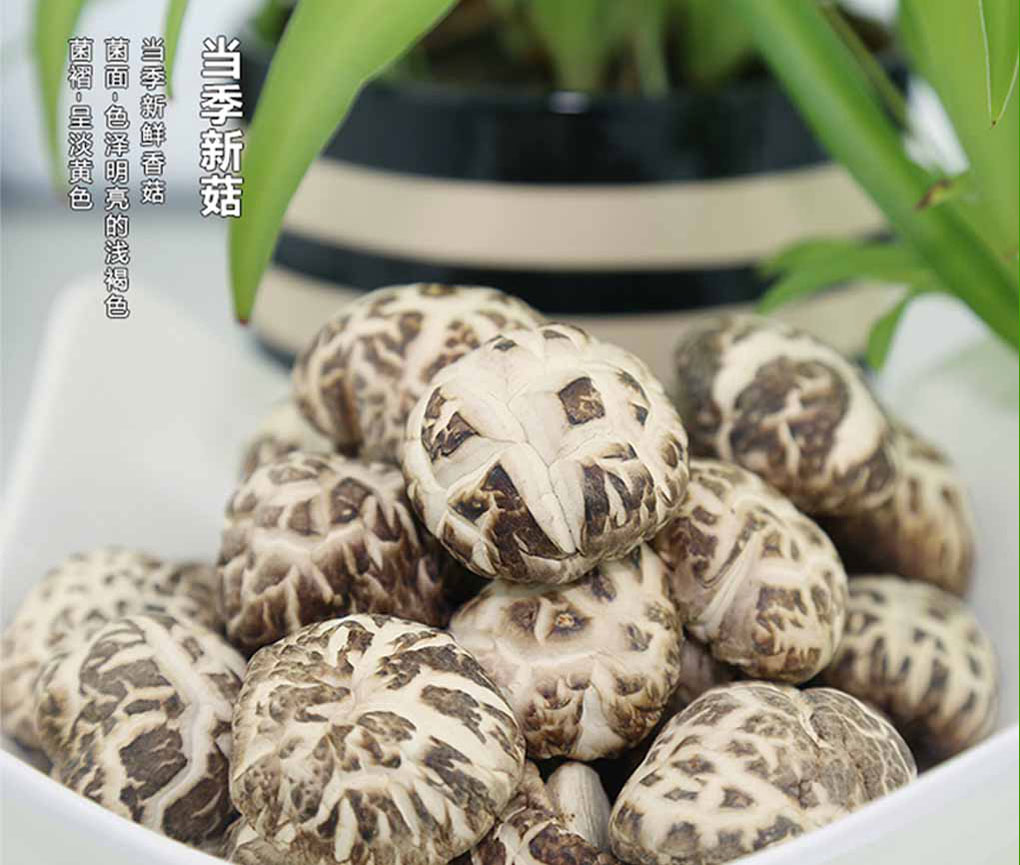 食用菌礼盒