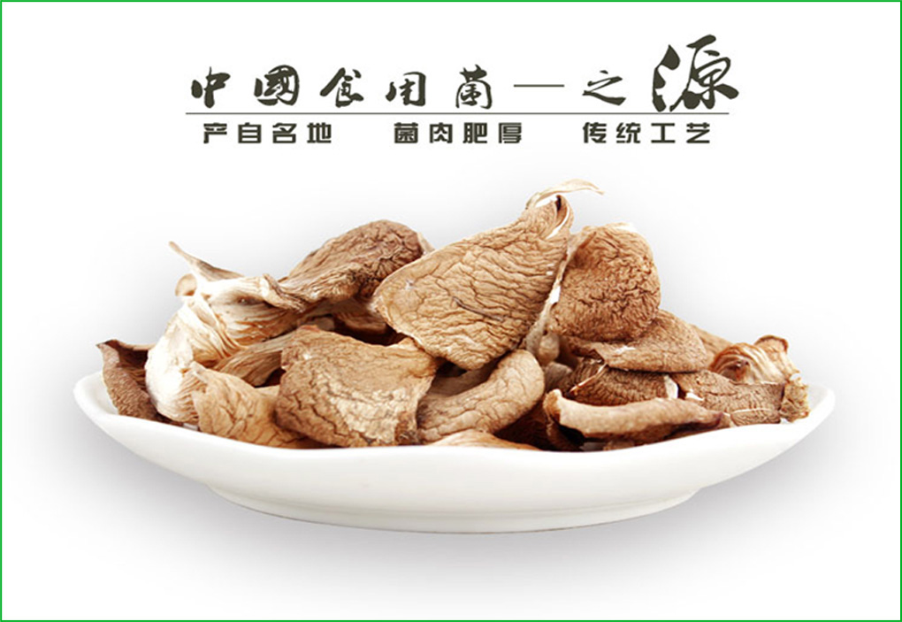 食用菌