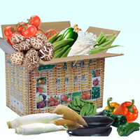 蔬菜集装箱